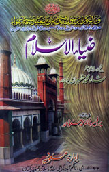 Zia-ul- Islam