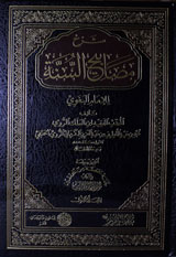 Sharh Misabah Al Sunaat