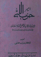 Ameer Hazab-ul-Allah