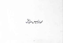 Wadi E Sindh ki Tehzeeb