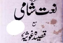 Naat E ShamiFaryad E Noor