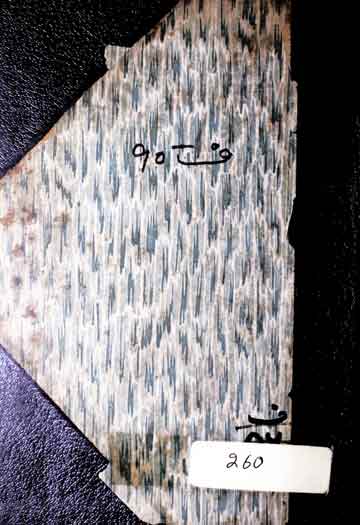 Sharha E Zyadat al Zyadat