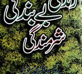 زند گی بے بند گی شرمند گی 14 Zindagi By Bandagi Sharmindgi