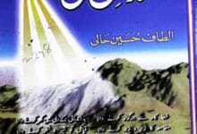 مسدس حالی 11 مسدس حالی