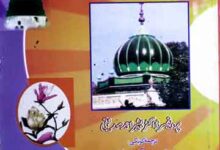 عارف حقانی شیر ربانی حضرت میاں شیر محمد شرقپوری نقشبندی مجددی (دخپل نگارشات پہ ر نرا کبنے) 8 Mian Sher Muhammad Sharaqpuri