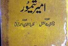 Iban-e-Khuldoon Aor Amir Temoor
