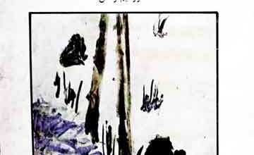 Ahwal-o-Asar Ainul Qazat