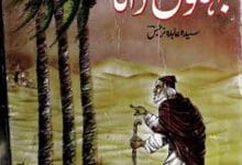 آل محمد کا دیوانہ بہلول دانا 5 Bahlol Dana