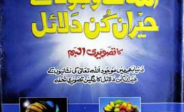 اللہ کے وجود کے حیران کن دلائل 3 Allah Ke Wujood Ke Hairankun Dalail