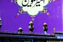 امیر الکونین ترجمہ از محمد شریف عارف نوری 9 Amir-ul-Konain