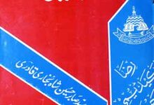 Inqalab Afreen Karnamay