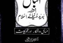 اقبال اور جدید دنیائے اسلام (مسائل، افکار اور تحریکات) 13 Iqbal Aor Jadeed Dunya Islam