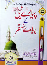 پیارے نبیﷺ کے پیارے سفر 5 Piyare Nabi Kay Piyare Safar