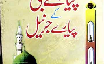 Piyary Nabi SAW Ke Pyary Jernail