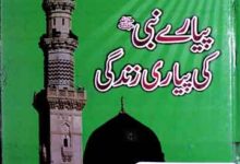 Piare Nabi ki Piyari Zindagi