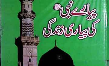 Piare Nabi ki Piyari Zindagi