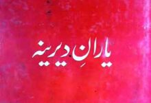 یاران دیرینہ (مؤلف کے مرتبہ خاکے) 17 Yaaran-e-Derina