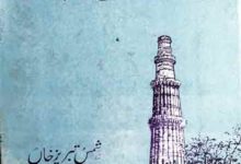 Arbi Adab Main Hindustan Ka Hissa