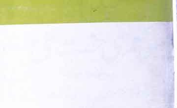 اسداللہ 4 Asadullah