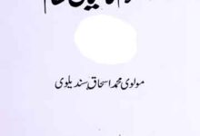 Islam Ka Siyasi Nizam