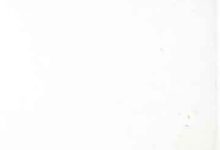 Islaam Hamini Mazhab