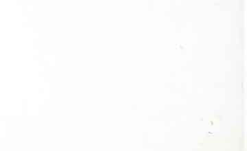 Islaam Hamini Mazhab