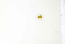 Islami Funoon Ki Dastaan