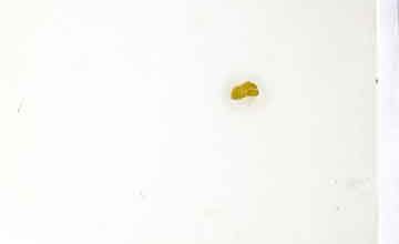 Islami Funoon Ki Dastaan