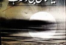 یہ آسمان بھی رستہ ہے 13 Yeh Asman Bhi Rasta Hay