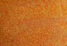 Asar-e-Hazir Main Ijtihad