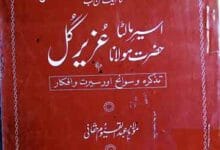 اسیر مالٹا مولانا عزیز گل (تحریک آزادی ہند المعروف تحریک ریشمی رومال کا ایک روشن باب) 8 Hazrat Molana Aziz Gul