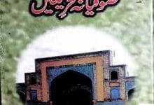 پاکستان میں صوفیانہ تحریکیں 3 Pakistan Main Sufiana Tehriken