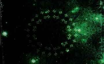 آواز دوست 3 Awaz Dost