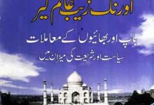 اورنگ زیب عالمگیر (باپ اور بھائیوں کے معاملات، سیاست و شریعت کی میزان میں) 5 Aurangzeb Alamgir Bap aor Bhaio Ke Moamlat