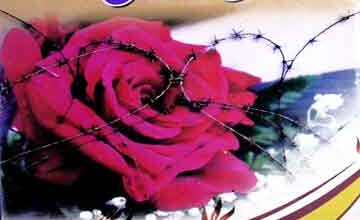 Azdawaji Preshanian Aor Un Ka Hal