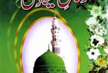 بارہ رسائل میلاد مصطفی ﷺ (محدثین مفسرین آئمہ کرام کے نادر اور نایاب رسائل کا مجموعہ) 8 Rasail-e-Milad-e-Mustafa