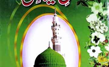 بارہ رسائل میلاد مصطفی ﷺ (محدثین مفسرین آئمہ کرام کے نادر اور نایاب رسائل کا مجموعہ) 4 Rasail-e-Milad-e-Mustafa