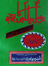 بھیگی پلکوں کا بوجھ 2 Beghee Palkun Ka Bhooj