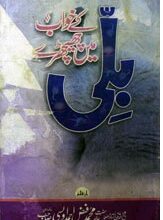 بلی کے خواب میں چھیچھڑے 2 Bili Ke Khawab Main Chechery