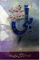 Bili Ke Khawab Main Chechery