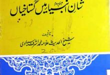 دی ہولی بائیبل اور شان انبیاء میں گستاخیاں 8 The Holy Bible Aor Anbia Ki Shan Main Gustakhi