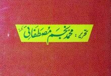 ضمیر کا سوداگر 17 Zameer k Sodagar