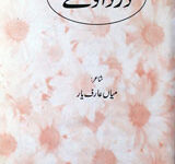 درداولے 13 Dardawlay