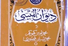 دیوان متبنی 6 Deewan-e-Mutanabbi
