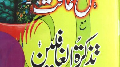 Falsafa Aqal-o-Hamaqat Ma Tazkara-tul-Gafileen