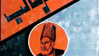 غالب اور عصر غالب (غالب پر چند تحقیقی مقالات) 4 Ghalib Aor Asar-e-Ghalib