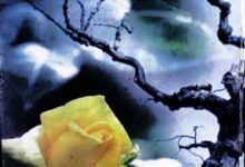 Peghambrana Minhaj-e-Dawat