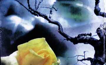 پغمبرانہ منہاج دعوت 5 Peghambrana Minhaj-e-Dawat