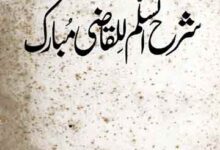 Hashia Molana Fazal-e-Haq Khairabadi