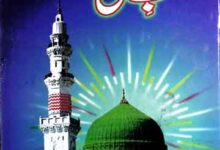 حب مصطفی ﷺ 16 Hubb-e-Mustafa